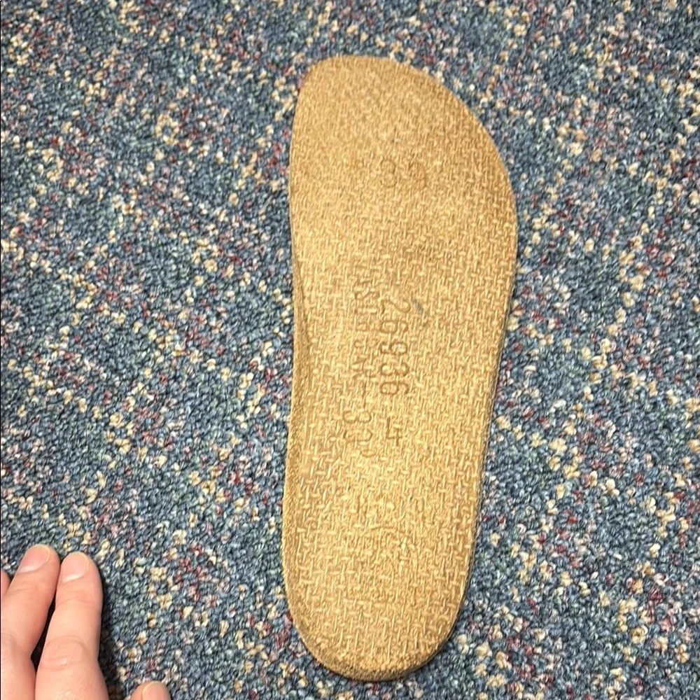 Finn Comfort Brown Men’s Slide Sandals